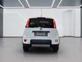 Fiat Panda 0.9 TA 85 4x4 WILD Weiß - thumbnail 6