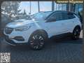 Opel Grandland X Grandland(X) Innovation Temp. RFK. Navi. CarPlay Weiß - thumbnail 1
