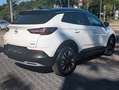 Opel Grandland X Grandland(X) Innovation Temp. RFK. Navi. CarPlay Weiß - thumbnail 4