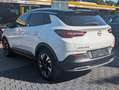 Opel Grandland X Grandland(X) Innovation Temp. RFK. Navi. CarPlay Weiß - thumbnail 3