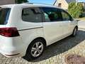 SEAT Alhambra Alhambra Xcellence 2,0 TDI DSG Xcellence Weiß - thumbnail 3