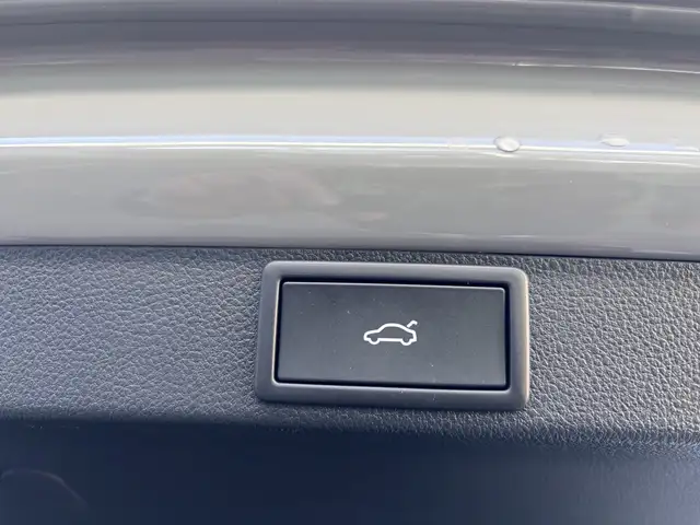 Skoda Octavia *RS* Combi - nur € 53.499,-* Ansicht 20