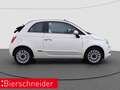 Fiat 500C 1.0 Hybrid DolceVita PDC KLIMA 15 ZOLL Blanc - thumbnail 8