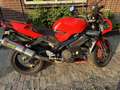 Aprilia Tuono - thumbnail 4