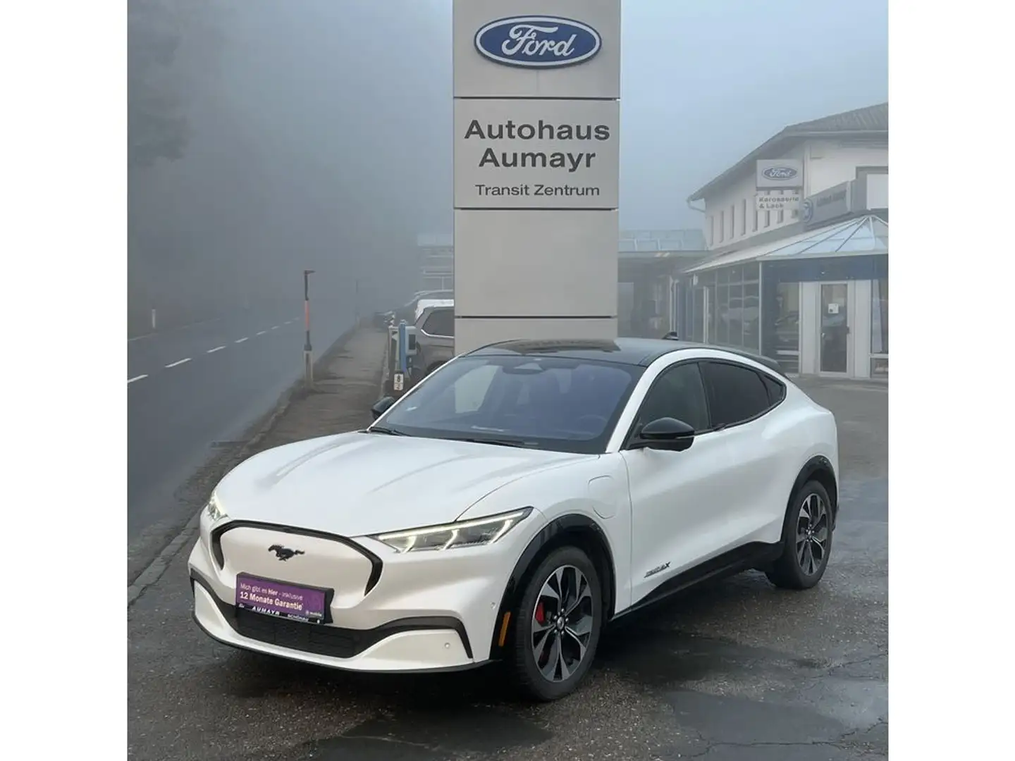 Ford Mustang Mach-E Allradantrieb 91kWh Blanc - 1