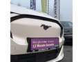 Ford Mustang Mach-E Allradantrieb 91kWh Blanc - thumbnail 2
