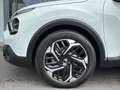 Citroen C4 BlueHDI130 Shine Automatik *Garantie bis 2029* Weiß - thumbnail 14