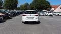Renault Megane E-Tech CarPlay Virtuel C. LED PDC Blanc - thumbnail 5