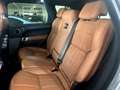 Land Rover Range Rover Sport 3.0 tdV6 HSE Dynamic auto my16 E6 Grigio - thumbnail 10