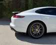 Porsche Panamera 4 e-Hybrid Executive Blanco - thumbnail 11