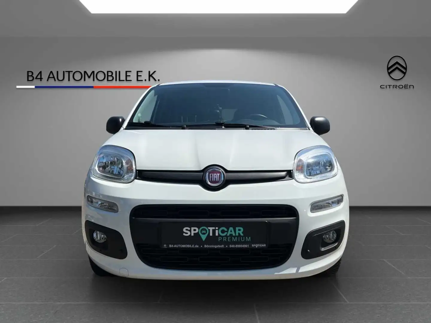 Fiat Panda 1.2 More mit Klima Weiß - 2