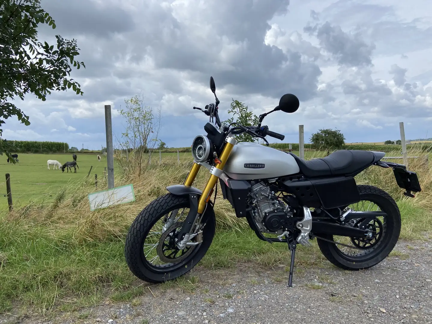 Fantic Caballero 125 Flat track - 2