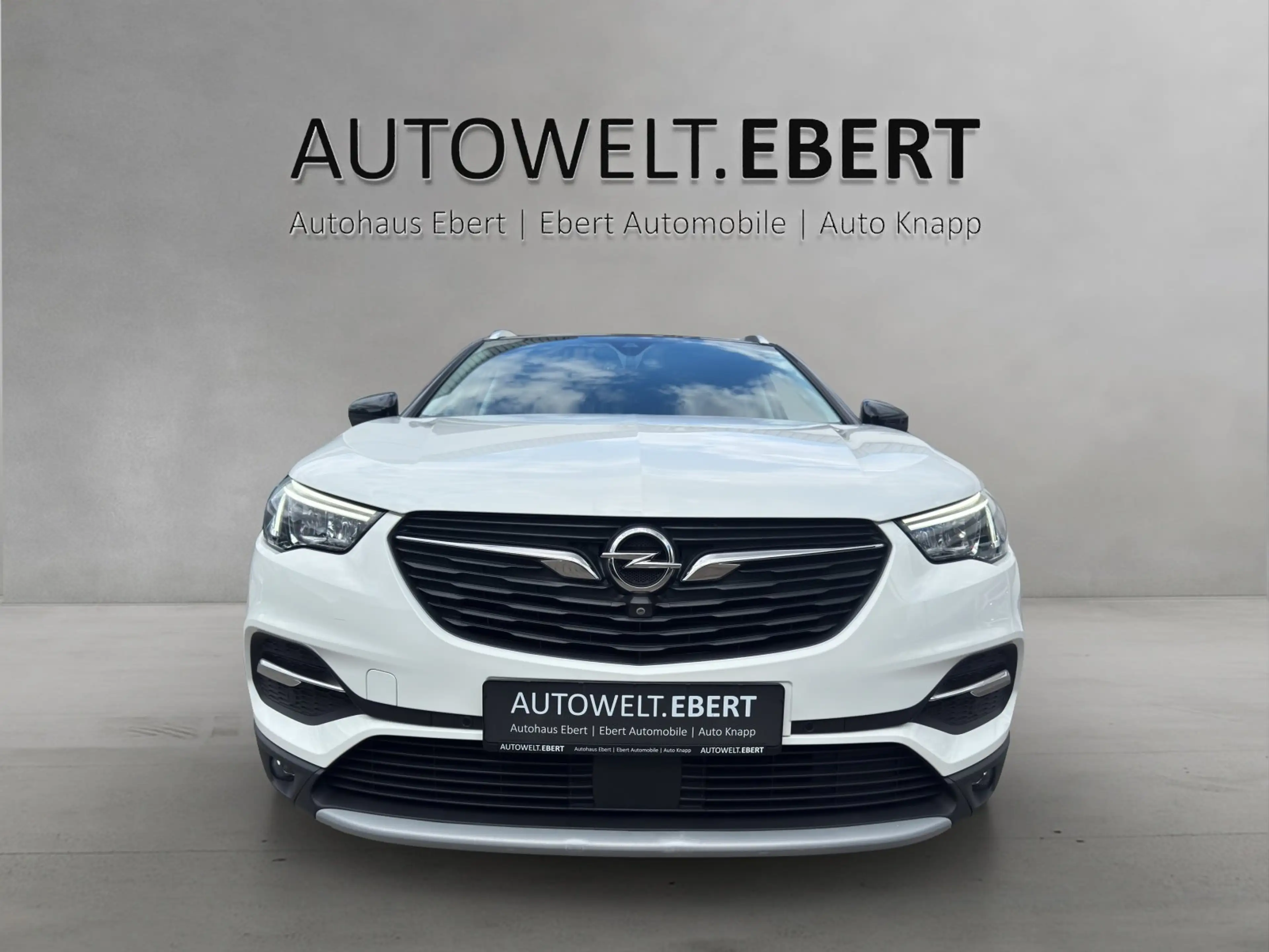 Opel Grandland X 1.2 Elegance Aut./LED/360°/TEMPO/SHZ — photo 6