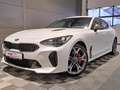 Kia Stinger 3.3 V6 GT 4WD°HUD°360°ACC°LED°H&K°TWA Blanc - thumbnail 5