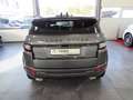 Land Rover Range Rover Evoque SE Dynamic Grau - thumbnail 6