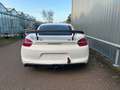 Porsche Cayman GT4 CS Wit - thumbnail 5