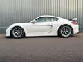 Porsche Cayman GT4 CS Wit - thumbnail 17