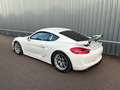 Porsche Cayman GT4 CS Wit - thumbnail 6