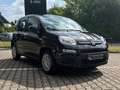 Fiat Panda 1.0 Hybrid MY'25 + City Paket *PDC hi*ZV*Bluetooth Schwarz - thumbnail 4