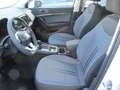 SEAT Ateca 1,5 ACT TSI Style Edition DSG Weiß - thumbnail 5