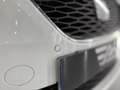 SEAT Exeo ST 2.0 TDI CR 170 CV Sport Weiß - thumbnail 21