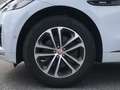 Jaguar F-Pace R-Sport 30d AWD Weiß - thumbnail 9