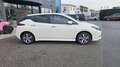 Nissan Leaf Acenta 40 kWh AUTOCARRO Bianco - thumbnail 3