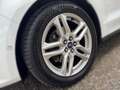 Ford Galaxy 2.0 EcoBlue Titanium ACC+LED+Navi+SHZ Weiß - thumbnail 5