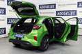 Ford Puma 1.5 EcoBoost ST 200 Verde - thumbnail 25