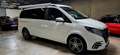 Mercedes-Benz Marco Polo Marco Polo 300d 9G-Tronic 4x4 Blanc - thumbnail 2
