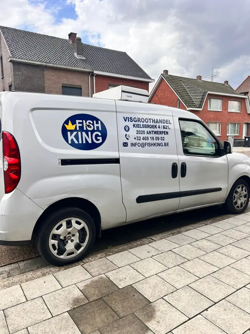 Fiat Doblo Cargo MAXI | FRIGO KOELING | Roetfilter defect - 2