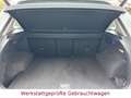Volkswagen Tiguan R-Line*LED*ACC*Apple-Car*AHK* Blanc - thumbnail 20