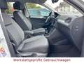 Volkswagen Tiguan R-Line*LED*ACC*Apple-Car*AHK* Blanc - thumbnail 19