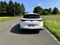 Kia ProCeed / pro_cee'd GT Weiß - thumbnail 12