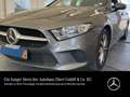 Mercedes-Benz A 220 Progres DWA NaviPrem SHZ Kamera SpiegelPkt Grey - thumbnail 1
