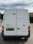 Ford Transit Kasten FT 350 M Trend Heckantrieb AHK2,8 Weiß - thumbnail 4