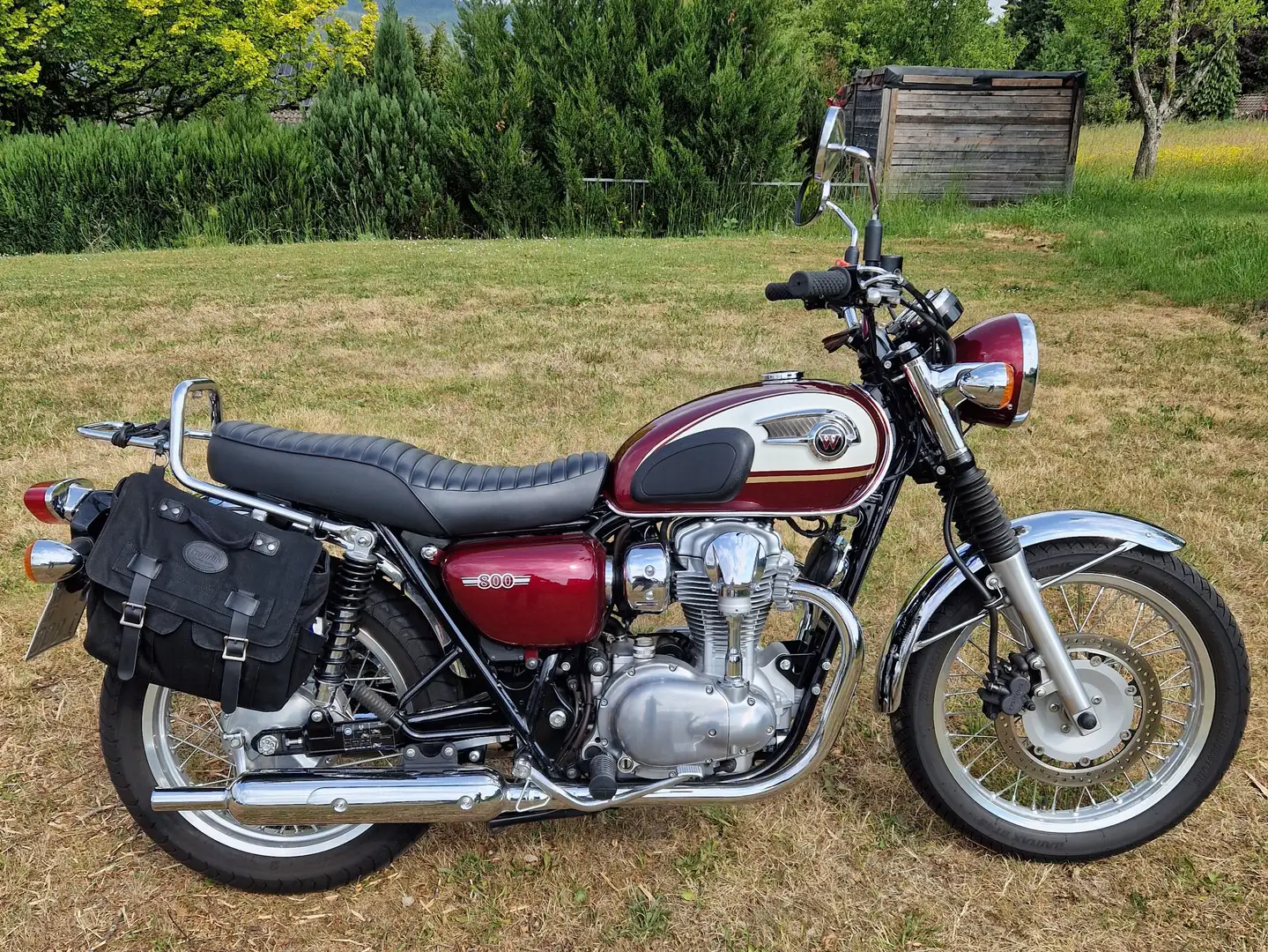 Kawasaki W 800 Czerwony - 1