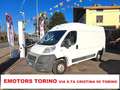 Fiat Ducato 30 2.3 MJT PM-TM Furgone Bianco - thumbnail 1