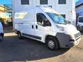 Fiat Ducato 30 2.3 MJT PM-TM Furgone Bianco - thumbnail 4