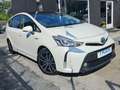 Toyota Prius+ 1.8i VVT-i Hybrid / 7 PLACES / CUIR / GARANTIE Blanc - thumbnail 3