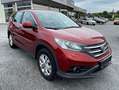 Honda CR-V 2,0i-VTEC Elegance Aut. Rouge - thumbnail 5