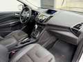 Ford Kuga Kuga 2,0 TD-Aut "ST-Line" *** erst 76.000 km !!! Blanc - thumbnail 12