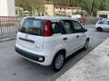 Fiat Panda Panda 1.0 FireFly S&S Hybrid Pop Weiß - thumbnail 4