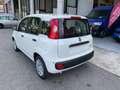 Fiat Panda Panda 1.0 FireFly S&S Hybrid Pop Weiß - thumbnail 3