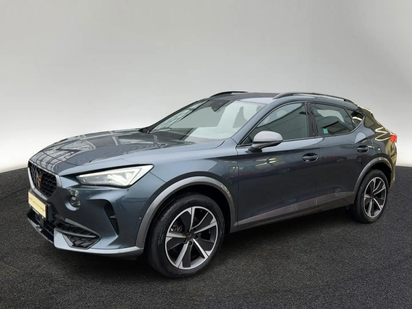 CUPRA Formentor 1,5 TSI DSG Matrix Navi Kamera Grau - 2