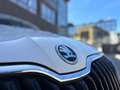 Skoda Fabia Combi 1.0 TSI Ambition 70kW Blanco - thumbnail 18