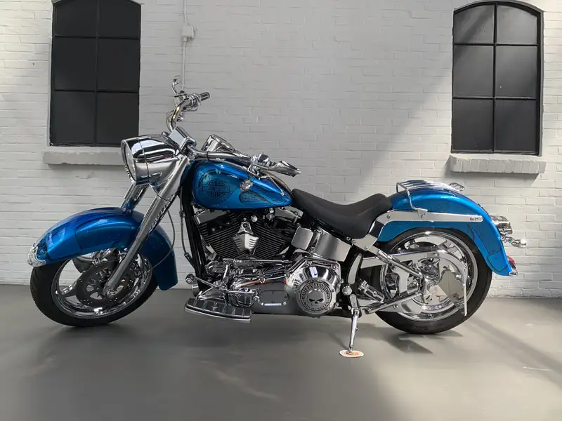 Harley-Davidson Heritage - foto 4