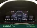 Skoda Kamiq 1.0 tsi black dots 115cv Grigio - thumbnail 14