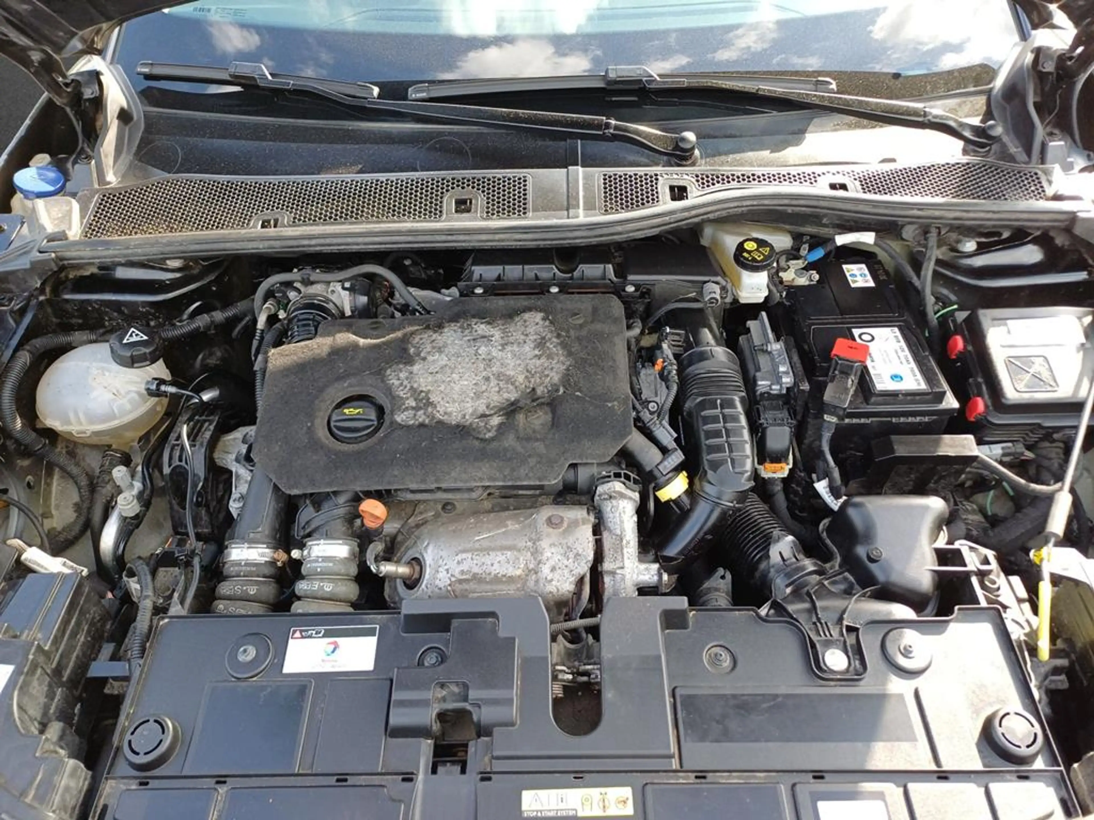 Citroen C4 Shine — photo 5
