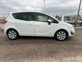 Opel Meriva 1.7 CDTI 110 CV Cosmo - thumbnail 4